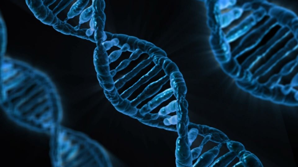 X Genomics wprowadza ludzkie dane genetyczne na blockchain